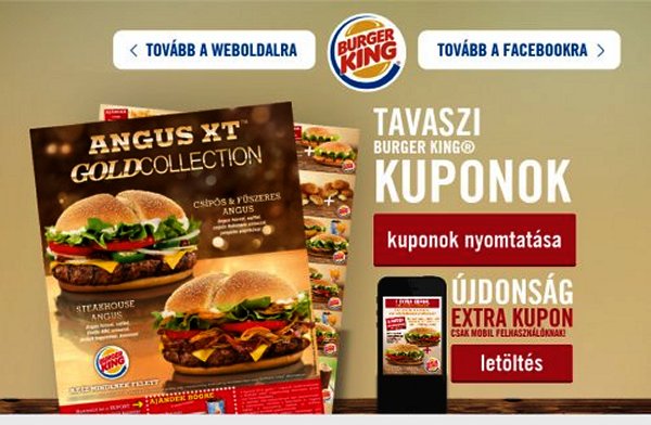 Burger King franchise 