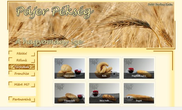 B�V aukci�k z�log franchise