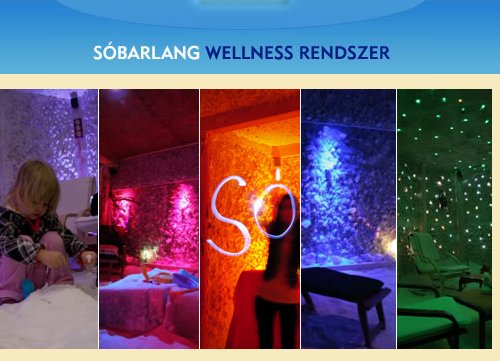 S�barlang Wellness franchise Rendszer