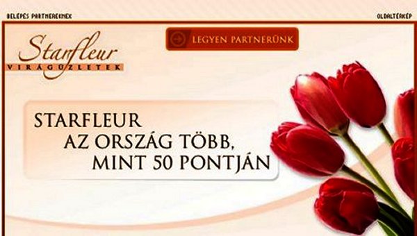 Starfleur vir�g�zletek franchise 